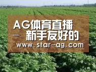 种植基地五
