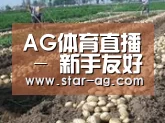 种植基地八
