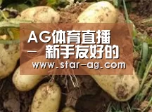 产品展示标题2