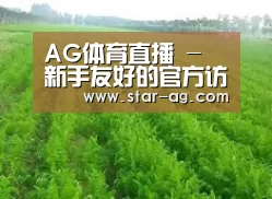 种植基地四