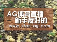 种植基地七