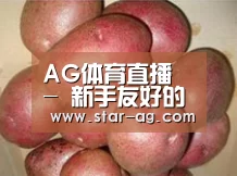 产品展示标题1