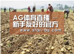 种植基地一