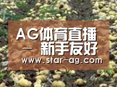 种植基地八(图1)