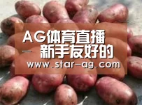 产品展示标题5(图1)
