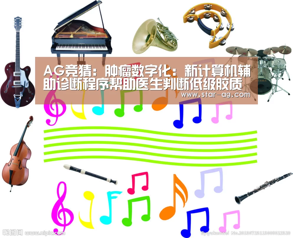 AG竞猜:肿瘤数字化:新计算机辅助诊断程序帮助医生判断低级胶质瘤生长情况(图1) AG电竞