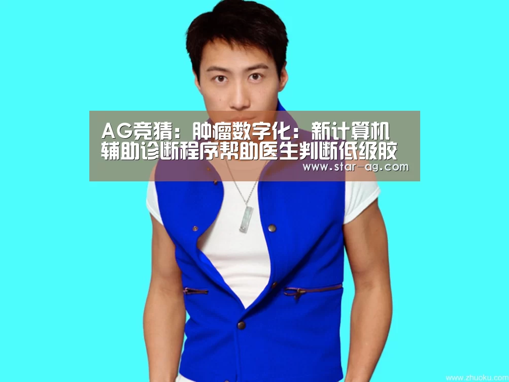 AG竞猜:肿瘤数字化:新计算机辅助诊断程序帮助医生判断低级胶质瘤生长情况(图2) AG竞猜