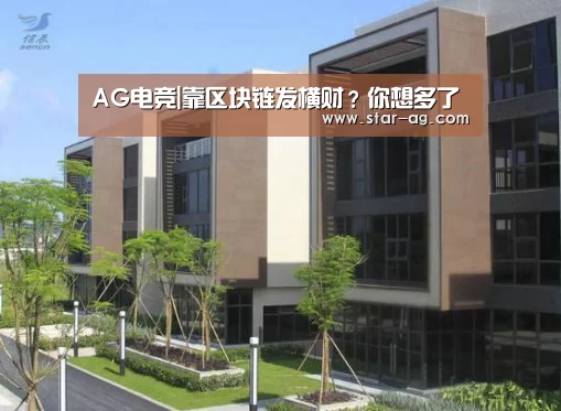 AG视讯