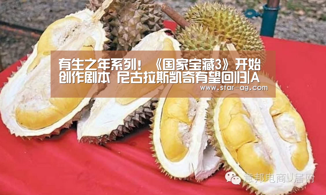 有生之年系列!《国家宝藏3》开始创作剧本 尼古拉斯凯奇有望回归|AG电竞(图3) AG视讯