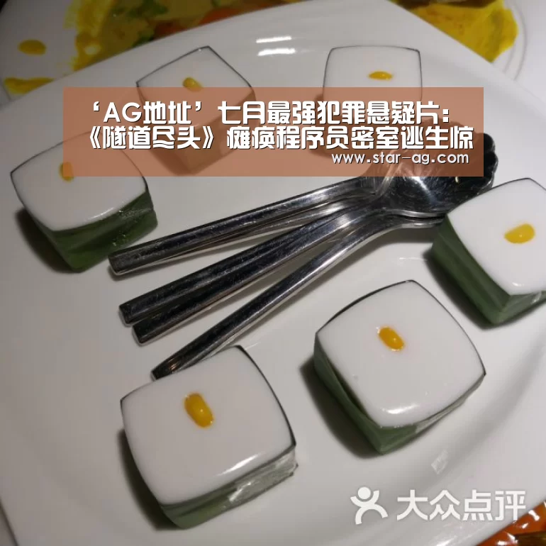 ‘AG地址’七月最强犯罪悬疑片:《隧道尽头》瘫痪程序员密室逃生惊心“洞”魄(图2) AG电竞